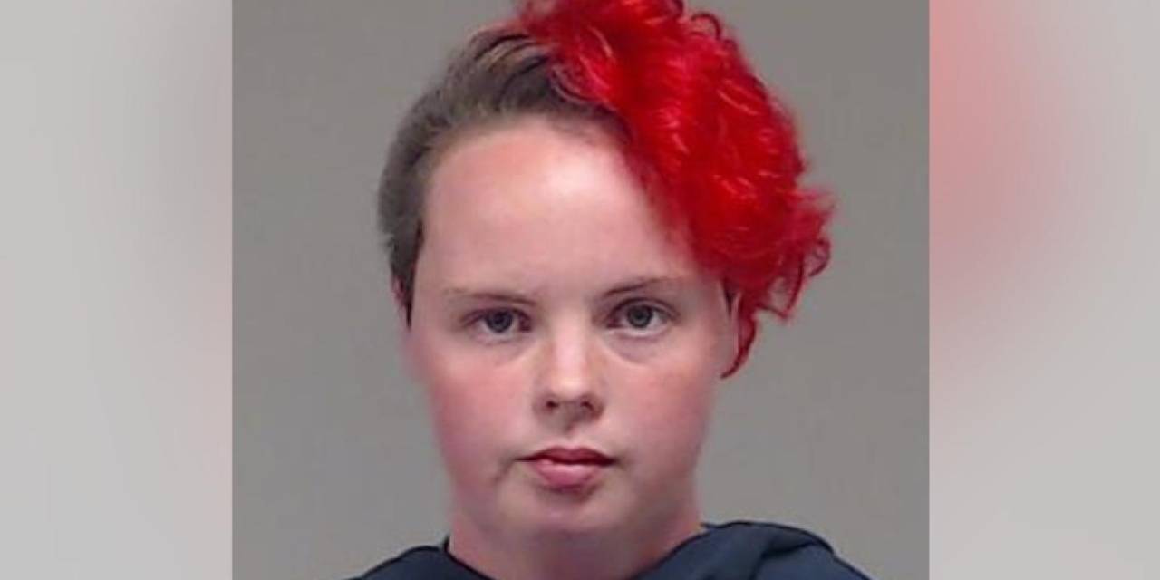 Çiftliğinde 24 köpek ve 12 at cesedi bulundu: Tüm arazi ölüm gibi kokuyordu, her yerde iskelet vardı