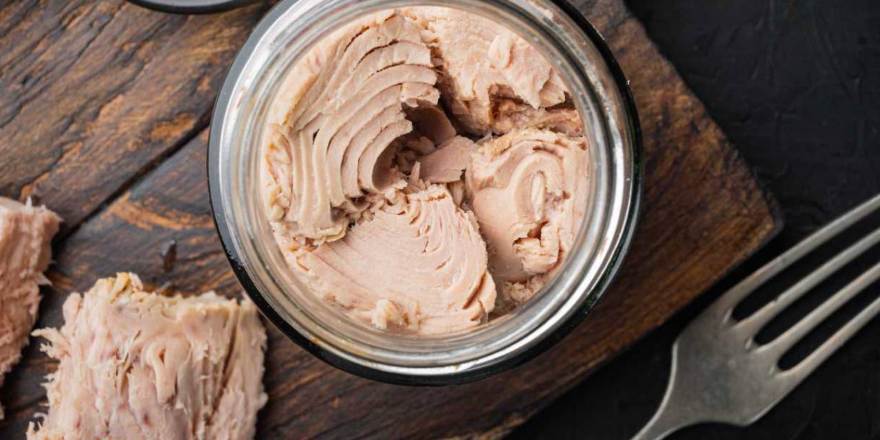 Ton Balığı Dost Mu Düşman Mı? Her Gün Ton Balığı Yenir Mi?