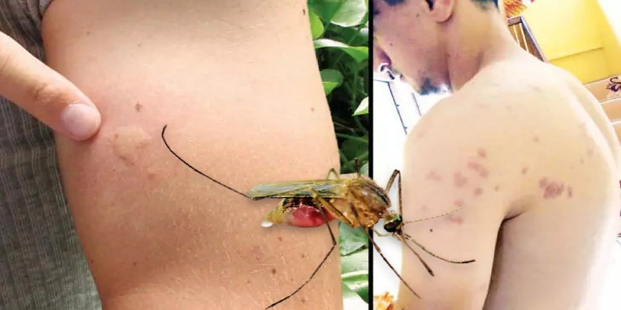 Yeni salgın paniği! Yüzlerce ölü var: Bilanço her gün ağırlaşıyor...