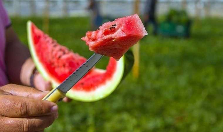 Karpuz seçerken bilmeniz gereken teknik.. Bol sulu karpuz seçme tekniği