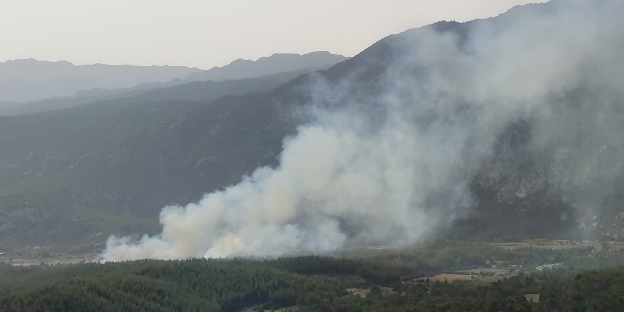 Antalya'da Orman Yangını