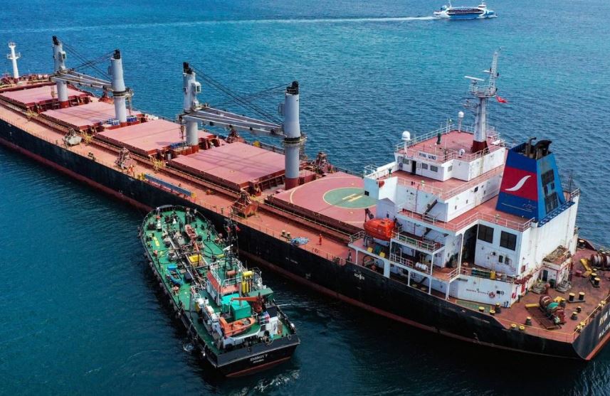 Alman Bil'in İddiası: Türkiye, Katar ve Rusya'dan Yeni Hamle