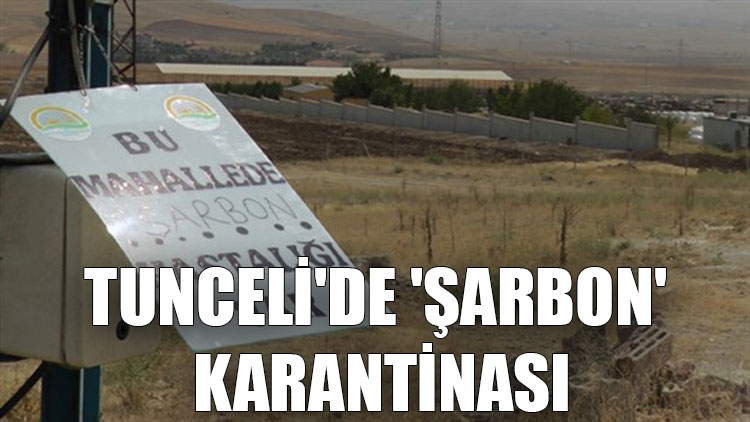 Tunceli'de 'şarbon' karantinası