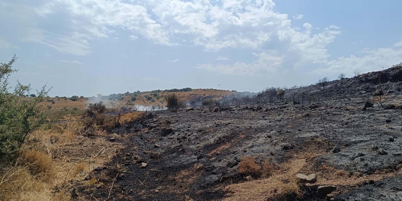 İzmir'de Orman Yangını Kontrol Altında