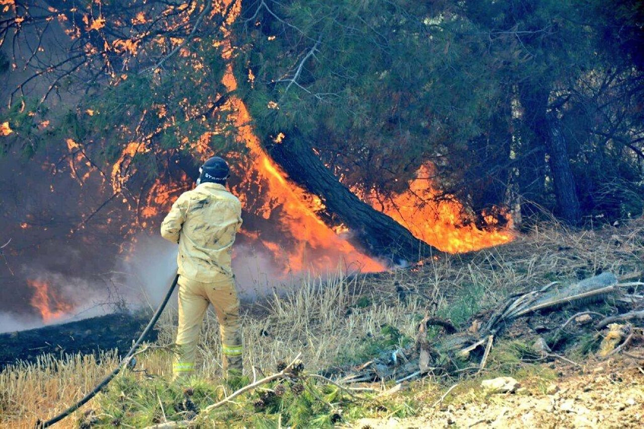Orman yangınlarının geride bıraktığı hasarın insanlığa etkileri! Bozulan orman ekolojisi nasıl düzelir?