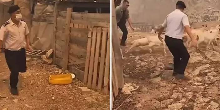 Çanakkale ruhu canlandı... Orman yangını üçüncü gününde: Boşaltılan köy sayısı 11'e yükseldi, gemi trafiği askıya alındı