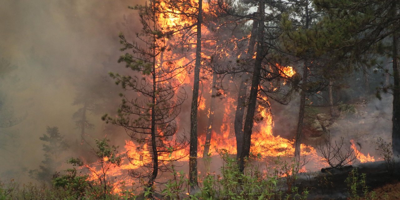 Eskişehir'deki Orman Yangınının Çıkış Nedeni Belli Oldu