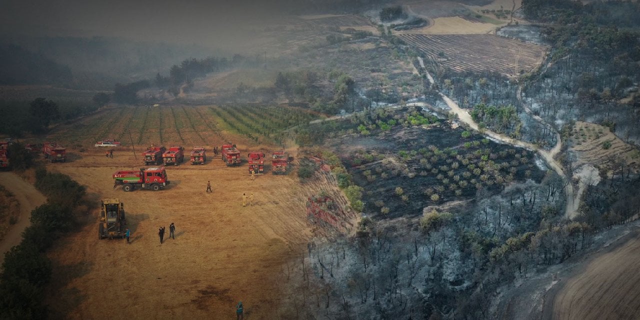 Son dakika... Çanakkale'deki Orman Yangını Kontrol Altına Alındı