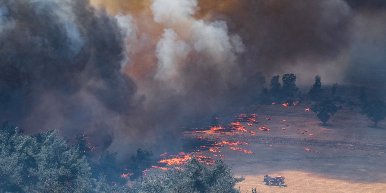 Ekoloji Profesörü Orman Yangınlarının Nasıl Engelleneceğini Açıkladı: Çare 'Servi Perdesi'
