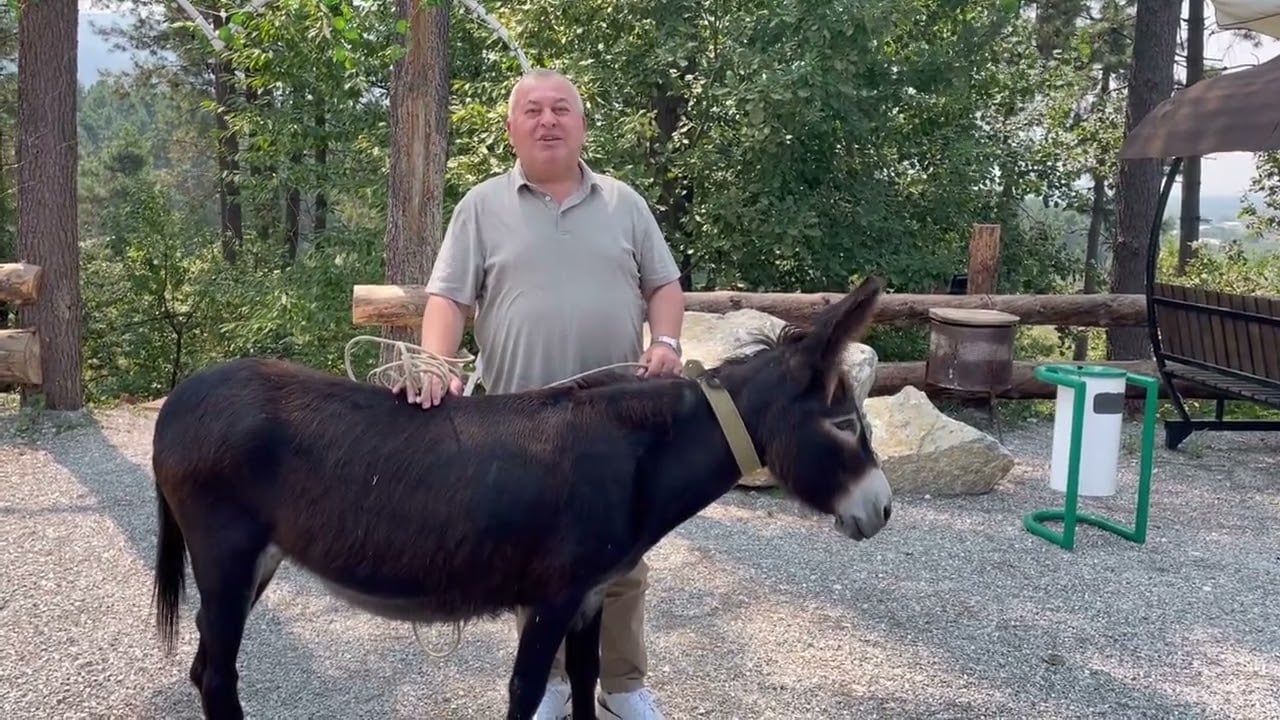 Cemal Enginyurt’tan akaryakıt zamlarına eşekli tepki