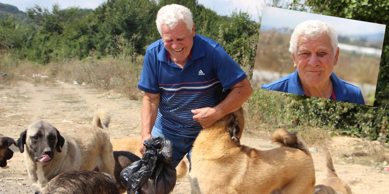 Sokak Köpeklerini Besledikleri İçin Darbedildiler