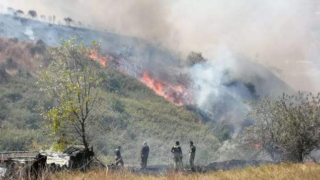İstanbul'da Ağaçlık Alanda Yangın Çıktı