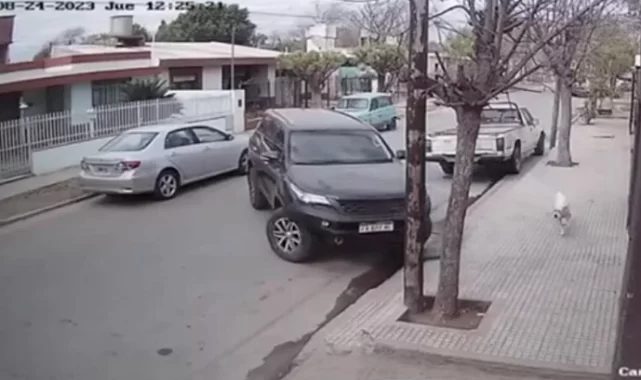 Film gibi olay! Aracını çalışır halde bırakan adama sokak köpeklerinden büyük şok