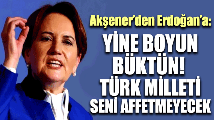 Meral Akşener: Yine boyun büktün! Türk milleti seni affetmeyecek