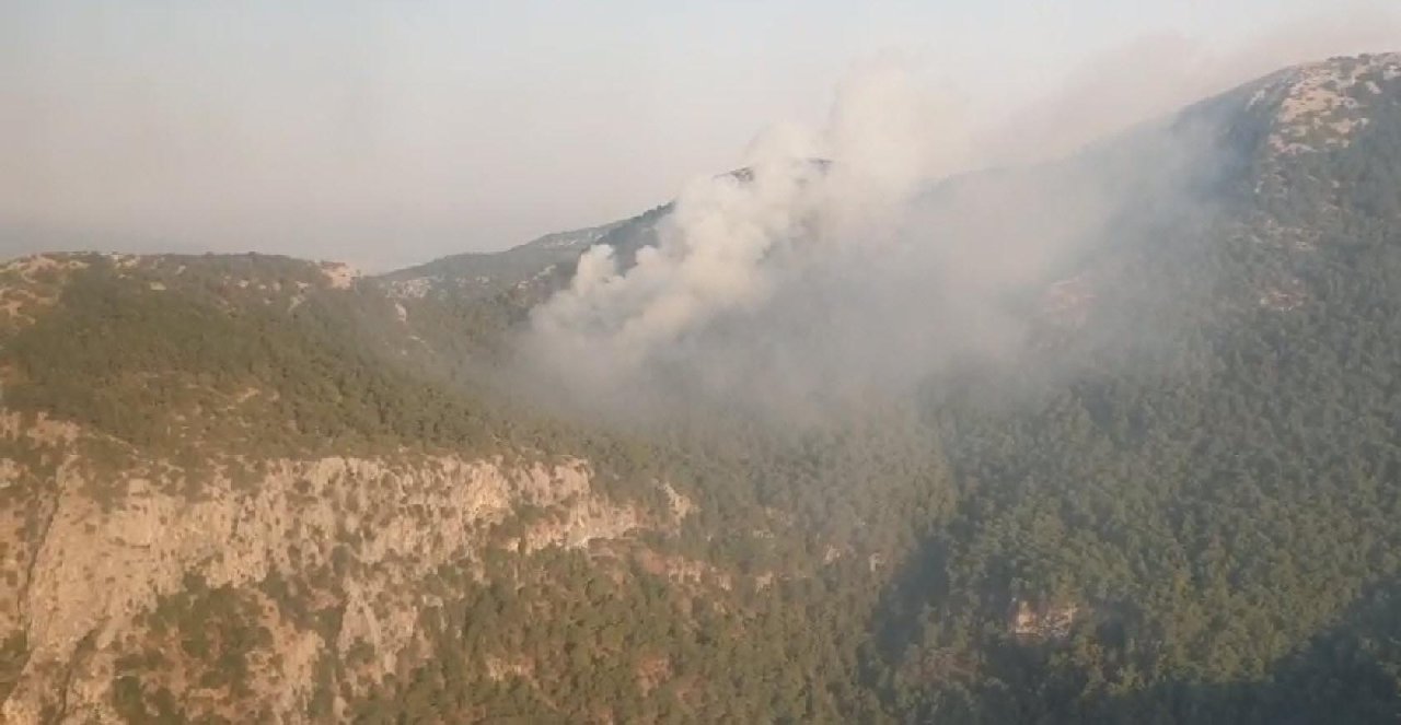 İzmir'de Orman Yangını: 8 saatte kontrol altına alındı