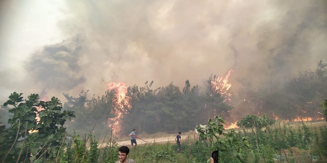 Bursa'da Korkutan Orman Yangını