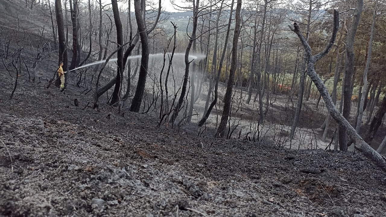 Bursa’daki Orman Yangını İkinci Gününde Kontrol Altına Alındı