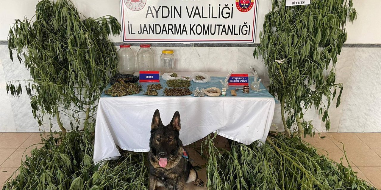 Aydın'da Uyuşturucu Operasyonu: 1 Kişi Tutuklandı