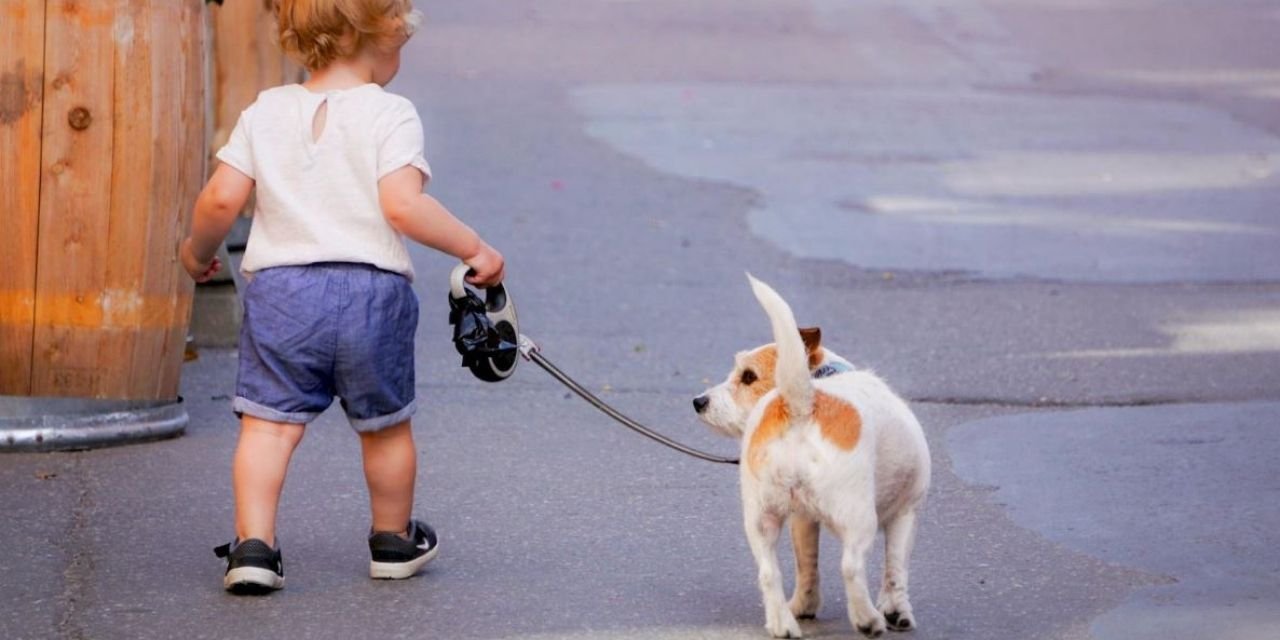 Çocuk Yapana Köpek Hediye