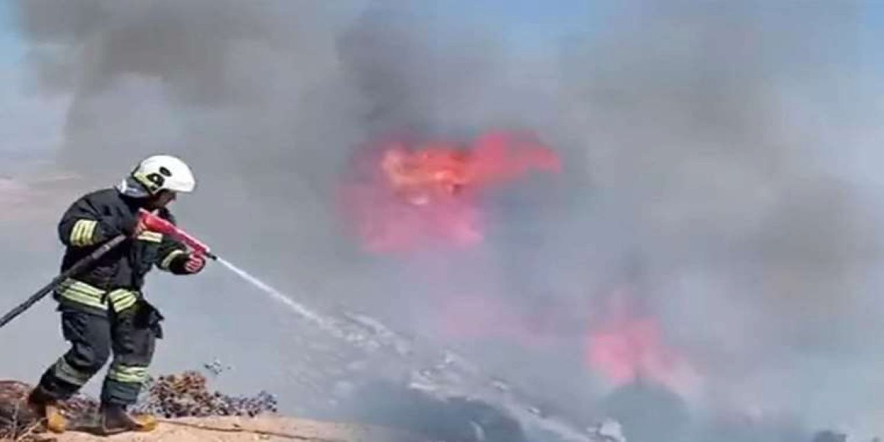 Gaziantep'te Orman Yangını