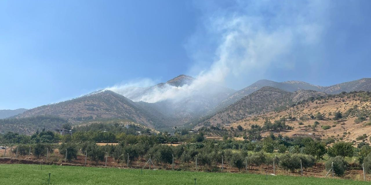 Kahramanmaraş'ta orman yangını