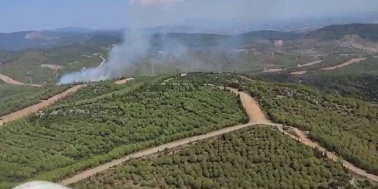 Son Dakika: İzmir'deki Orman Yangını 1.5 Saatte Kontrol Altına Alındı