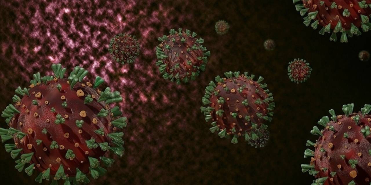 Prof. Dr. Ceyhan'dan Eris Açıklaması: 9 Kişide Değil Çok Daha Fazladır, Yeni Varyantlarla Pandemi Devam Edebilir