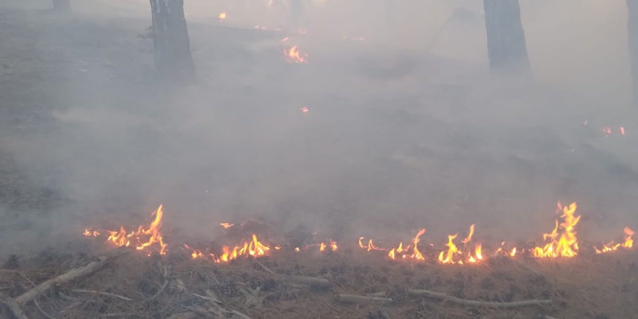 Adana'da Korkutan Orman Yangını