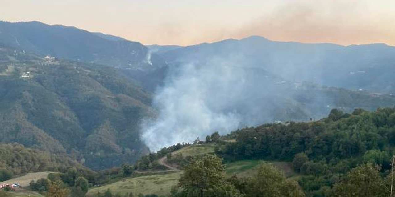 Kocaeli'de Korkutan Orman Yangını Kontrol Altına Alındı