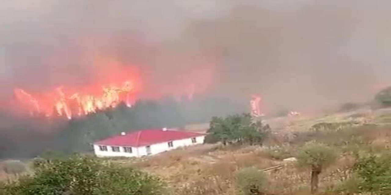 İki Kentte Orman Yangını