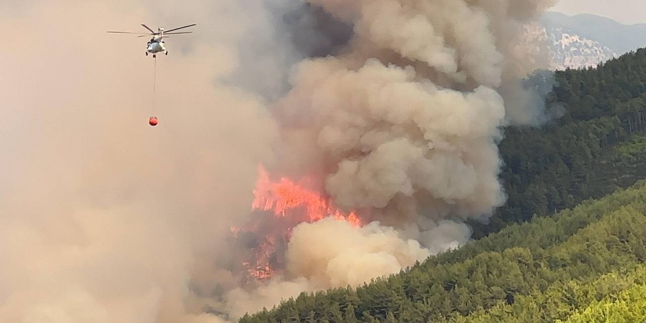 Alanya'da Yerleşim Yeri Yakınında Orman Yangını: Vatandaşlar Tahliye Edildi