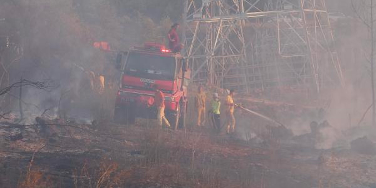 Bursa'da Orman Yangını!