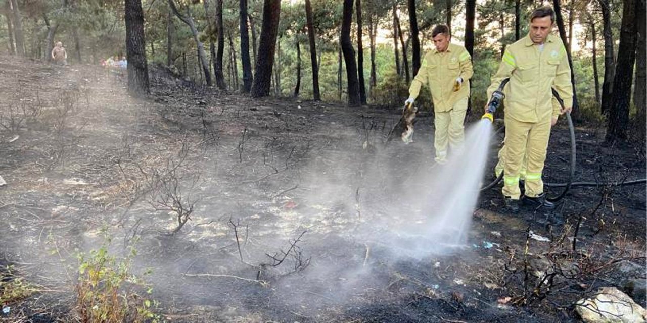 İstanbul'da Ormanlık Alanda Yangın!