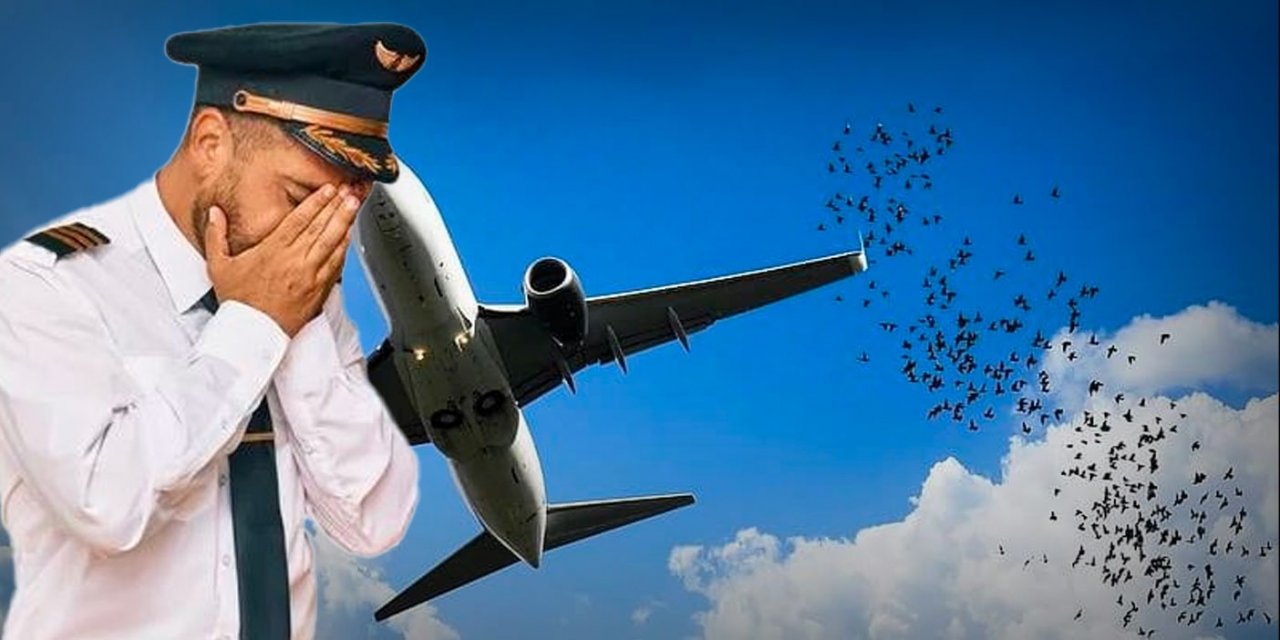 Kuşlar Uçağın Peşini Bırakmadı! Nedeni Anlayan Pilot Gözyaşlarına Boğuldu