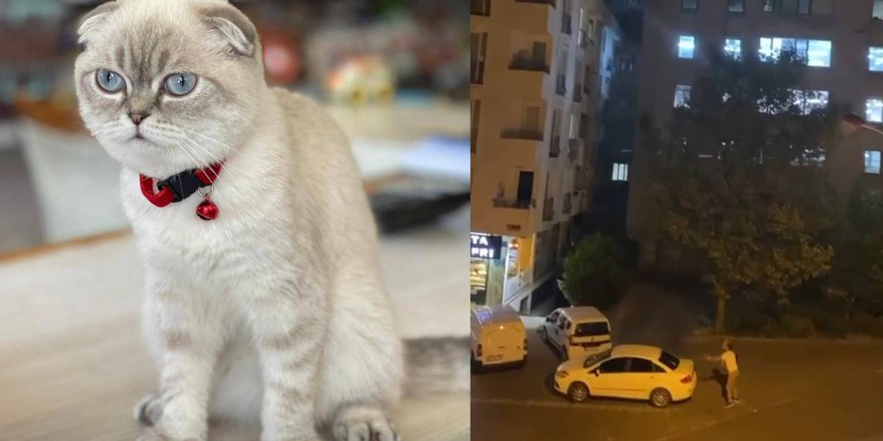 Esenyurt'ta Kedi Kavgası; Yoldan Geçen Kurye Vuruldu