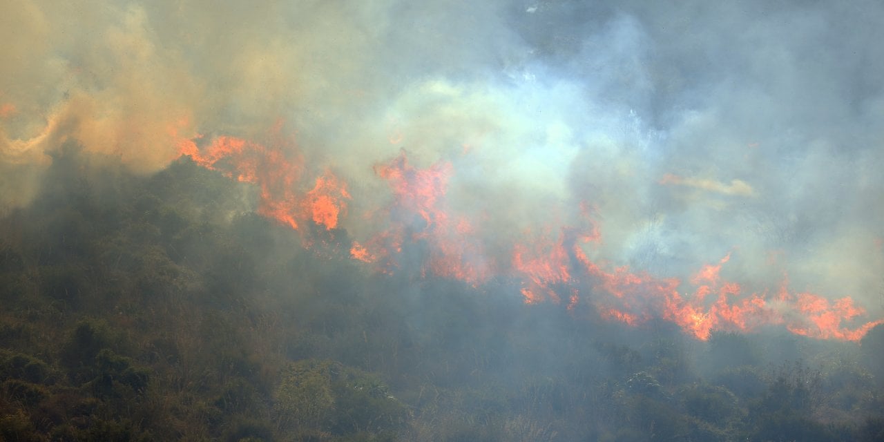 İtalya'da Orman Yangınları: Evler Boşaltıldı, Okullar Tatil Edildi