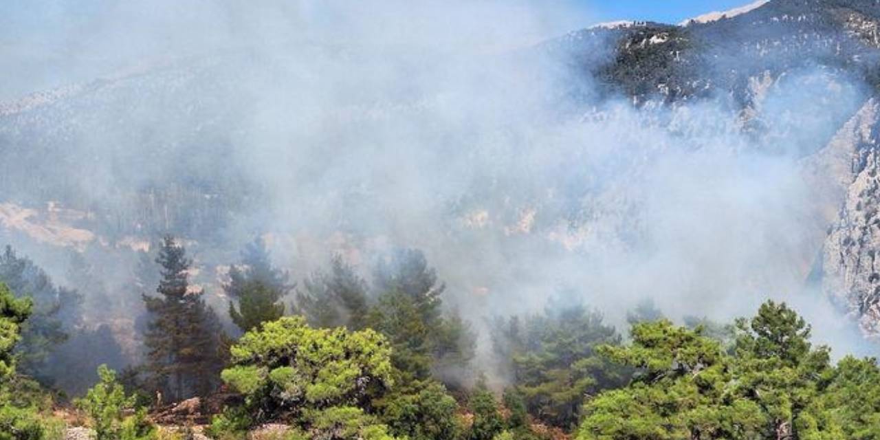 Antalya'da Kaş ve Manavgat'ta yangın