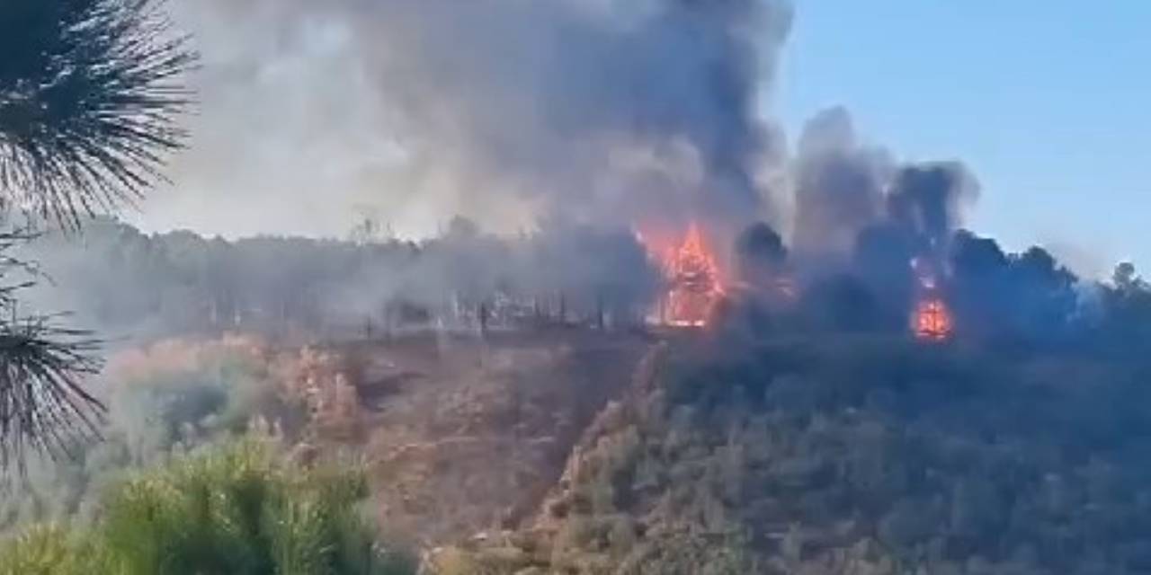 Sultangazi'de Orman Yangını: Havadan Destek İstendi