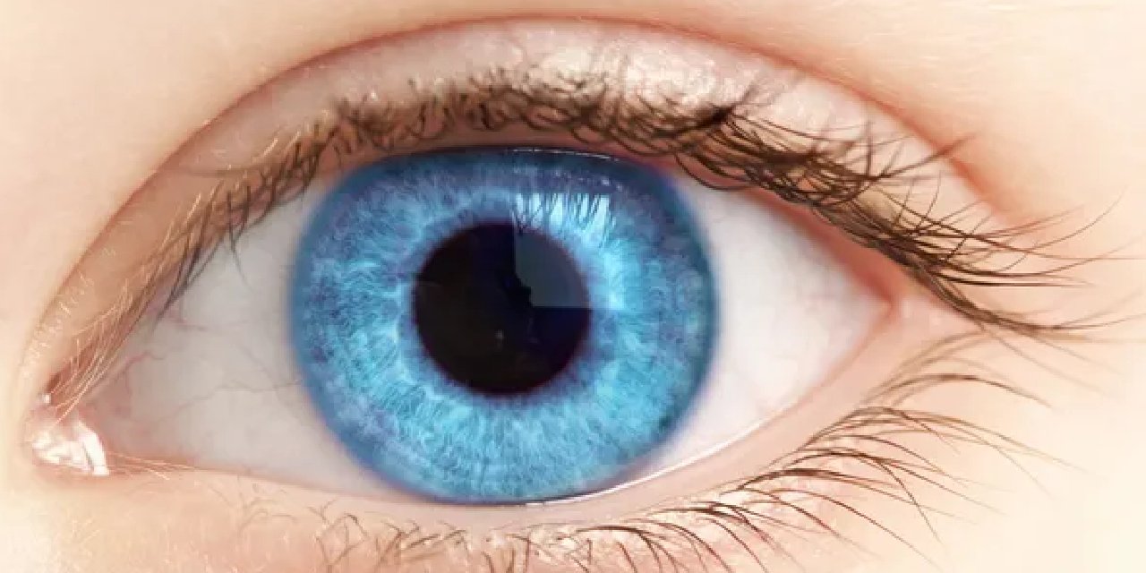 Araştırmalar  Mavi Gözlü İnsanların Alkolik Olma Olasılığının Daha Yüksek Olduğunu Gösteriyor...