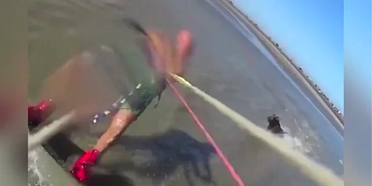 Pitbull Cinsi Köpek Sörf Yapan Kişiye Böyle Saldırdı! İşte Dehşet Anları