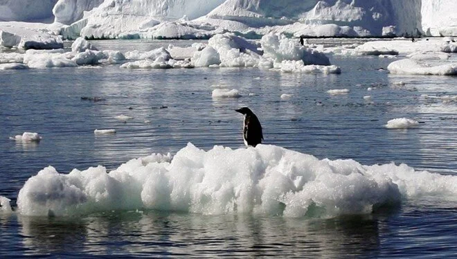 Antartika'da Şort Giydiren Sıcaklıklar