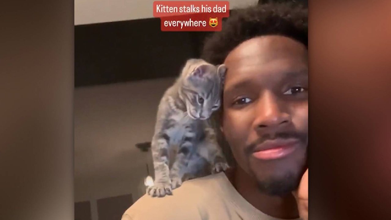 Fenerbahçe Bekolu Nigel Hayes-Davis’le kedisi arasındaki dostluk görenleri gülümsetti