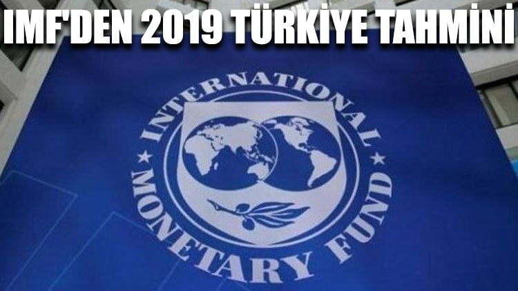 IMF'den 2019 Türkiye tahmini