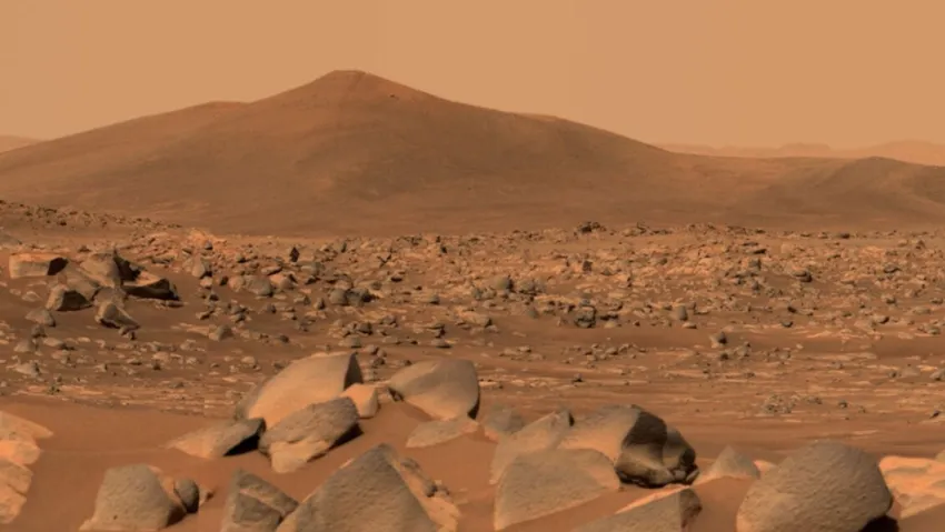 Hollandalı araştırmacılar,  Mars topraklarında hayatta kalabilecek hayvanı belirlediler