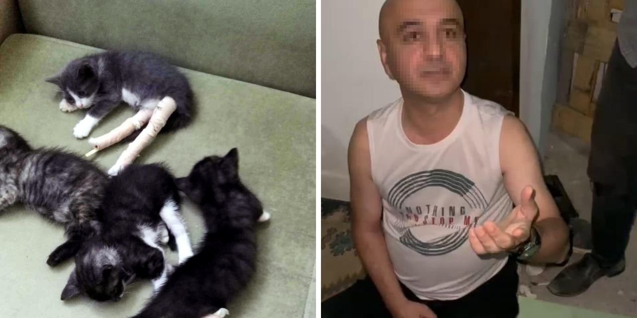 Yavru Kedilerin Bacaklarını Kıran Caniye Para Cezası Verildi