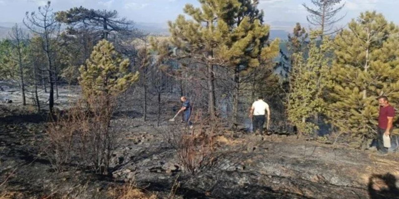 Konya'da orman yangını!