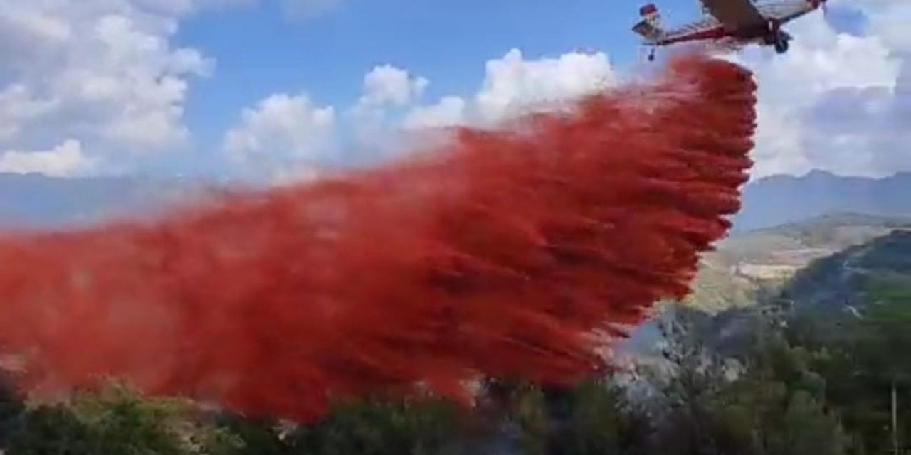 Adana'da İki Orman Yangını