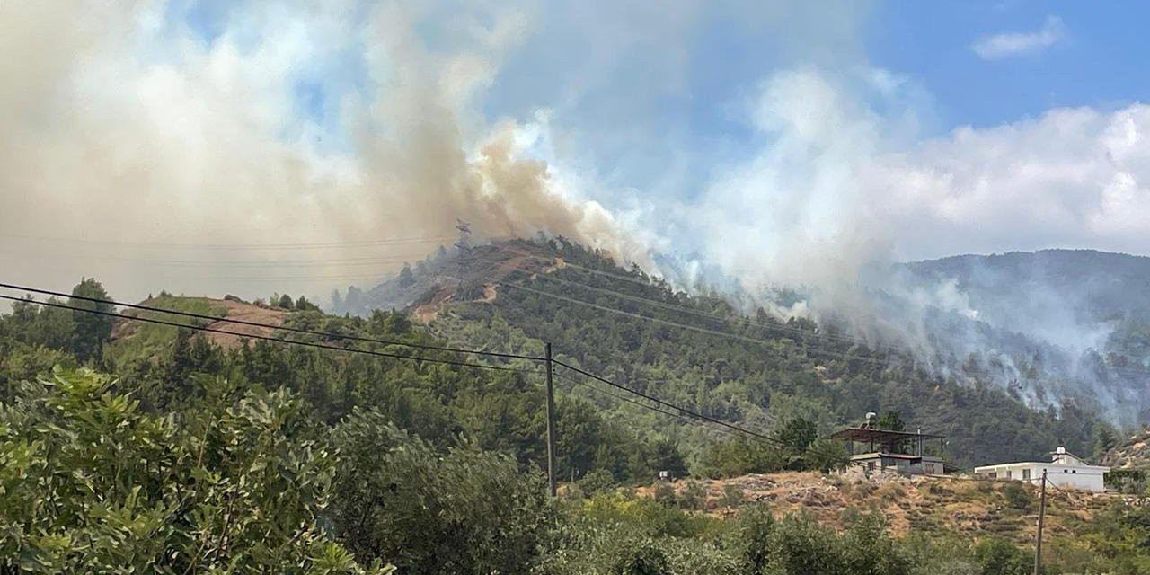 Hatay'da Orman Yangını!