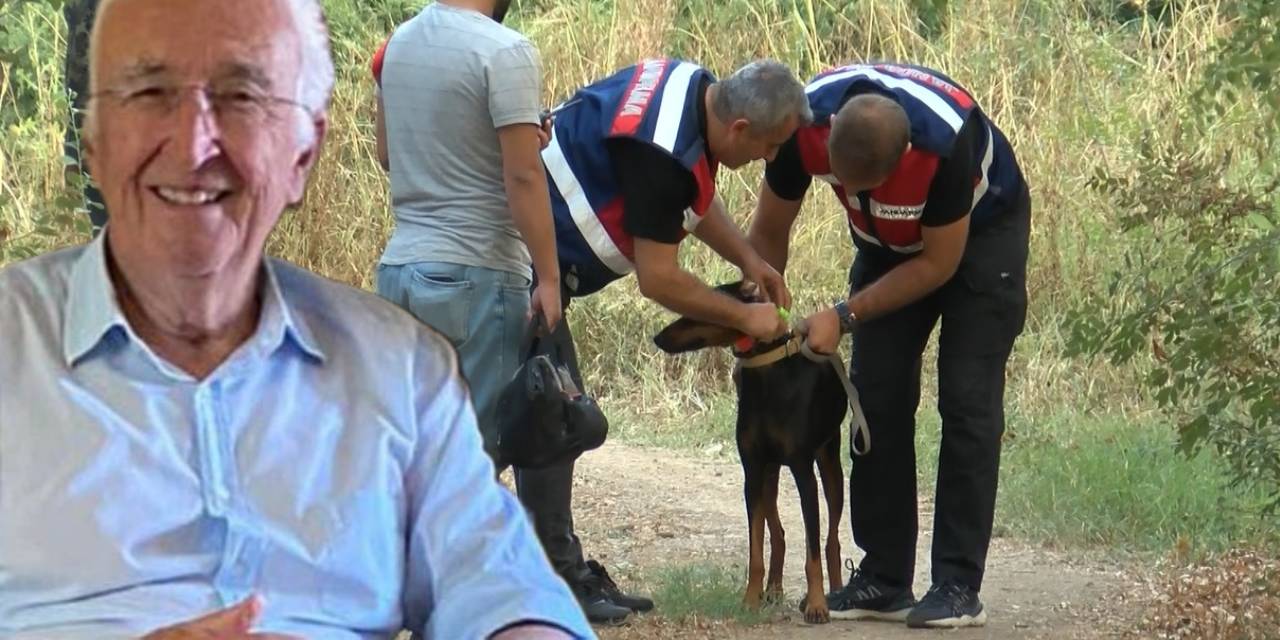 Korhan Berzeg’le İlgili Çalışmalar 315’inci Günde Sürdürülüyor; Kadavra Köpeği Sayısı Artırıldı