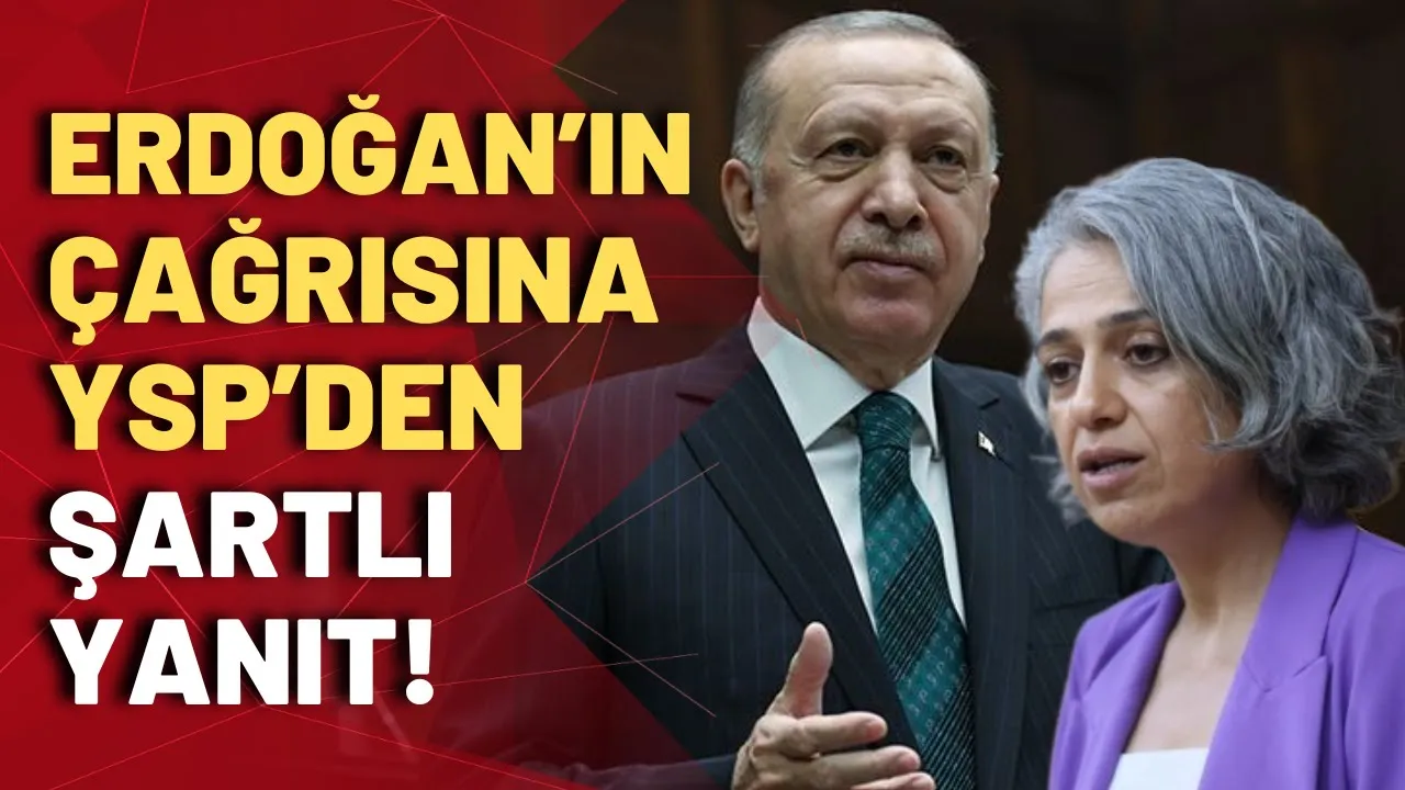 Yeşil Sol Parti'den Erdoğan'ın anayasa çağrısına yanıt!